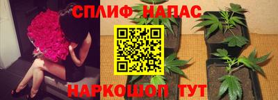 стаф Лесосибирск
